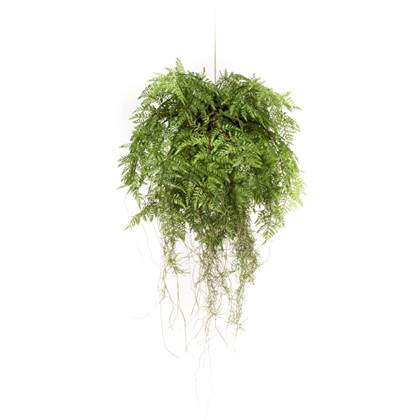Emerald Kunstvaren hangend met wortels 55 cm Groen Polymeer Planten Woonaccessoires